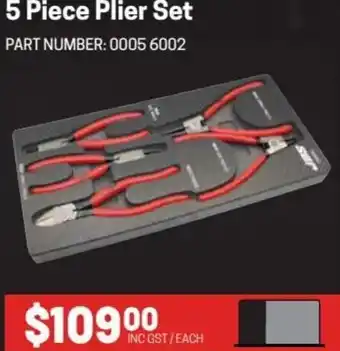 Blackwoods 5 Piece Plier Set offer