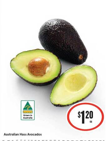 IGA Australian hass avocados offer