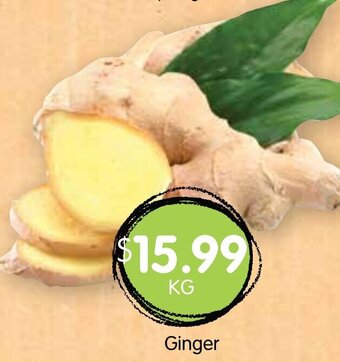 Spudshed Ginger offer