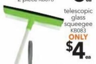 Telescopic Glass Squeegee