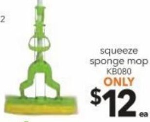 Squeeze Sponge Mop