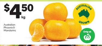 Woolworths Australian phoenix mandarins offer