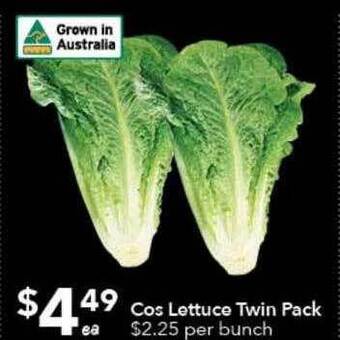 Ritchies Cos lettuce twin pack offer