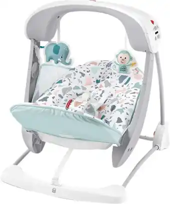 BIG W Fisher-Price Take Along Swing and Seat offer