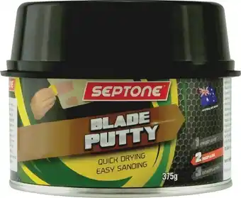 Septone spot putty 375g
