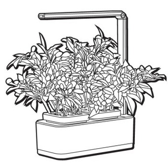 Bunnings Mr fothergill's hydrogarden all-in-one grow kit offer