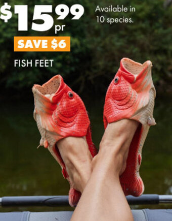 BCF Fish Feet offer