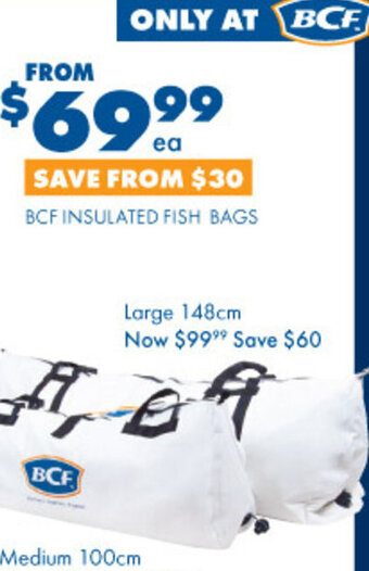 BCF BCF Insulated Fish Bags offer
