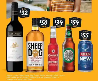 Taylors, sheep dog