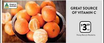Honey murcott mandarins
