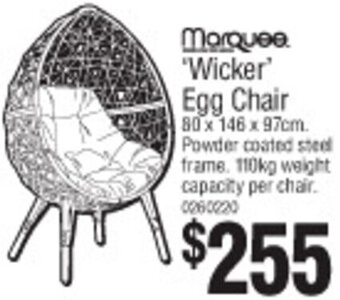 Bunnings Marquee Wicker Egg Chair offer