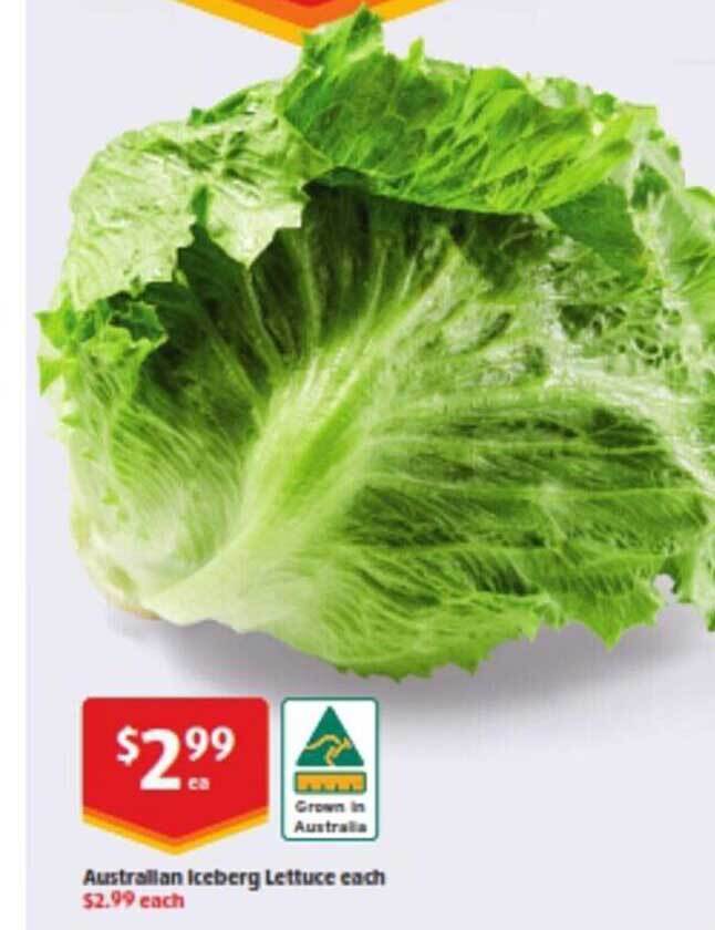 Australian iceberg lettuce each offer at ALDI