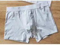 ALDI Men’s Organic Cotton Underwear – Trunks 2pk offer