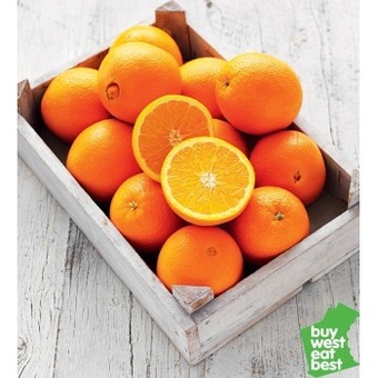 Navel oranges