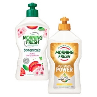 Coles Morning fresh dishwashing liquid 350ml offer
