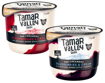 Coles Tamar valley creamery yoghurt 170g offer