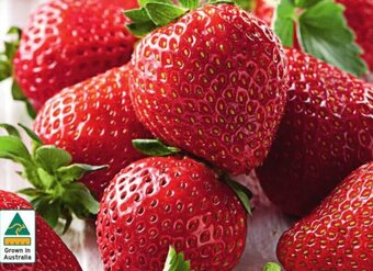 ALDI Australian Strawberries 250g Pack offer