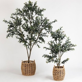 Pillow Talk Olive tree by m.u.s.e. offer