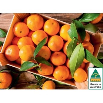IGA Australian honey murcott mandarins offer