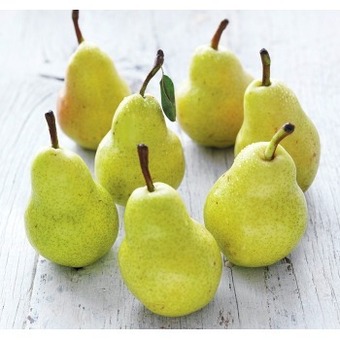IGA Australian packham pears offer