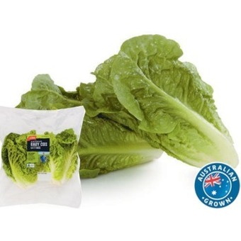 Coles Coles australian baby cos lettuce 2 pack offer
