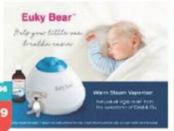 Warm Steam Vaporiser