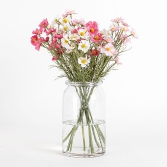 Cosmos stem by m.u.s.e.