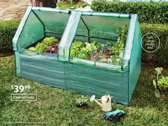 ALDI Large Drop-Over Greenhouse offer
