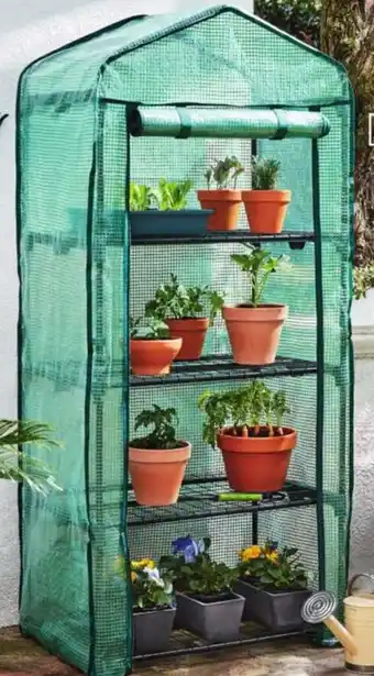 ALDI 4-Tier Greenhouse 69.5cm x 51cm x 160cm offer