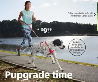 ALDI Assorted Dog Leads and Collars offer