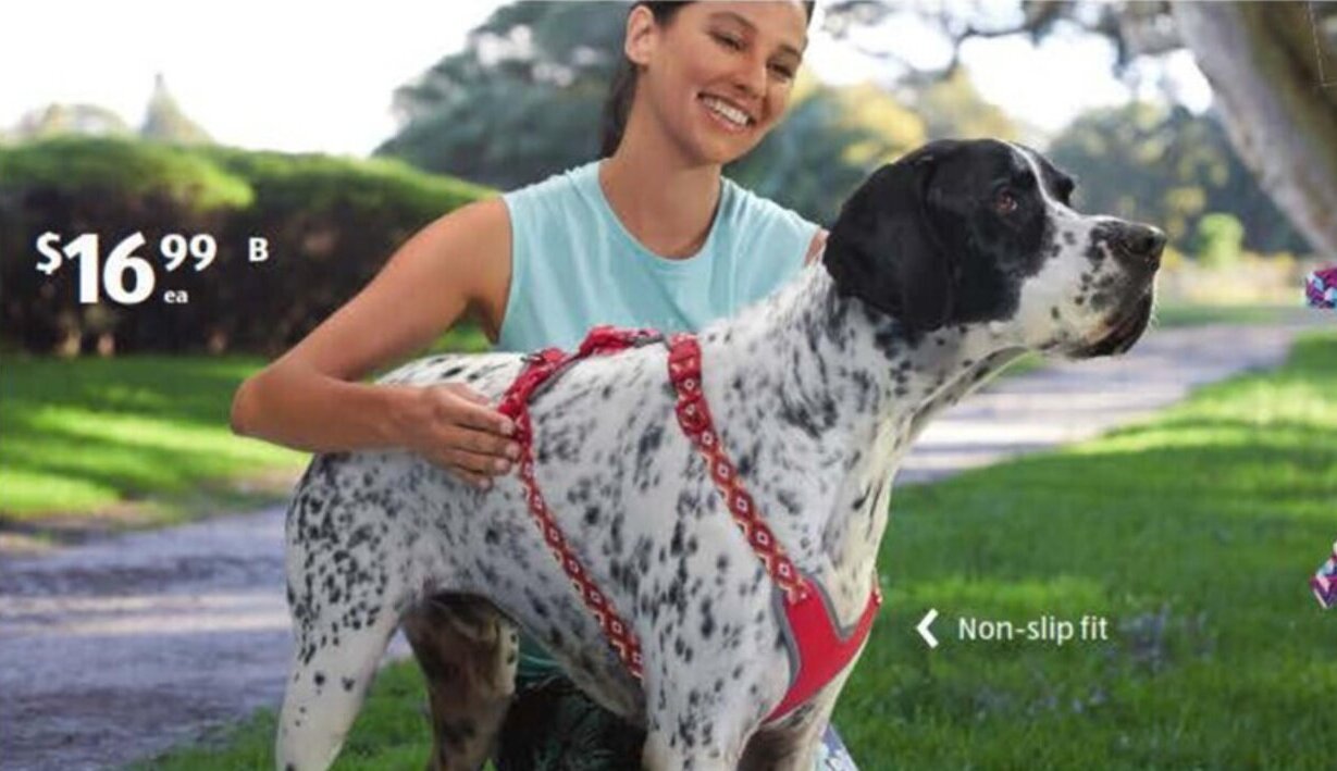 Dog Harness offer at ALDI