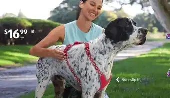 ALDI Dog Harness offer