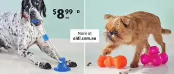 ALDI Active Pet Toy Assortment offer