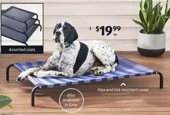 ALDI Elevated Pet Bed offer