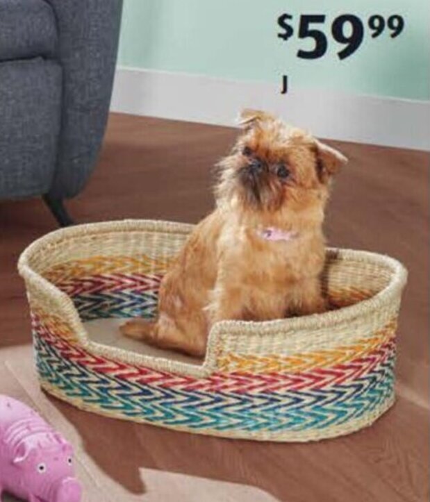 Pet Basket Bed offer at ALDI