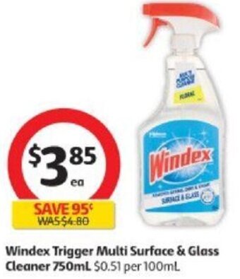 Coles Windex Trigger Multi Surface & Glass Cleaner 750ml offer