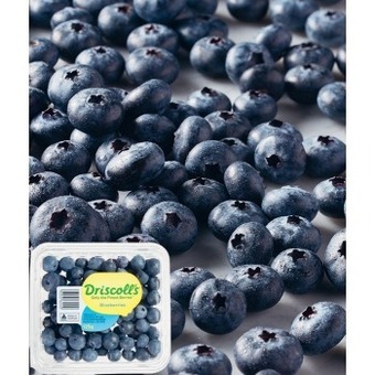 Coles Australian blueberries 125g punnet offer