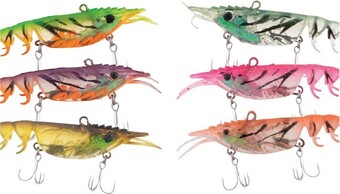 Berkley shimma shrimp