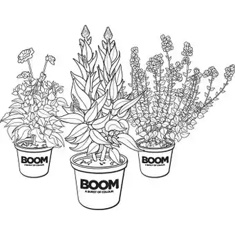 Bunnings Boom premium potted colour offer