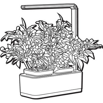 Bunnings Mr fothergill's hydrogarden all-in-one grow kit offer