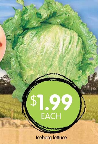 Spudshed Iceberg Lettuce offer