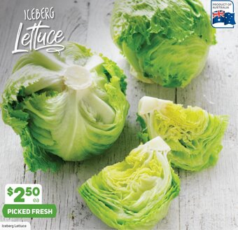 Foodland Iceberg Lettuce offer