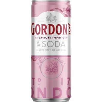 Dan Murphy's Gordons gin & soda mixed pack 12x250ml cans offer
