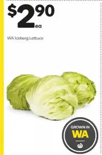 Woolworths Wa iceberg lettuce offer