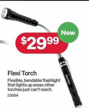 Flexi torch