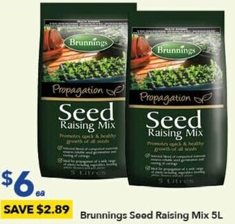 Ritchies Brunnings Seed Raising Mix 5L offer