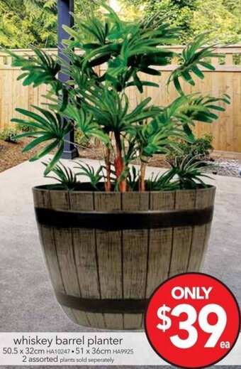 Whiskey Barrel Planter