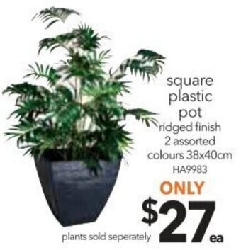 Cheap as Chips Square Plastic Pot offer