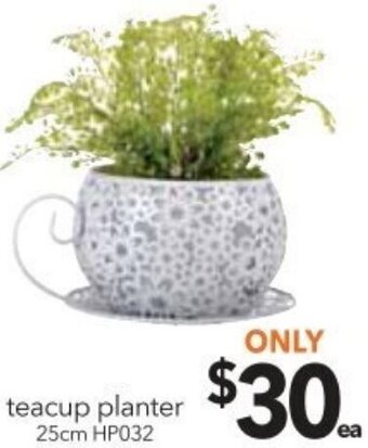 Cheap as Chips Teacup Planter 25cm offer