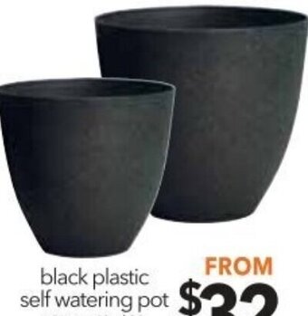 Cheap as Chips Black Plastic Self Watering Pot offer